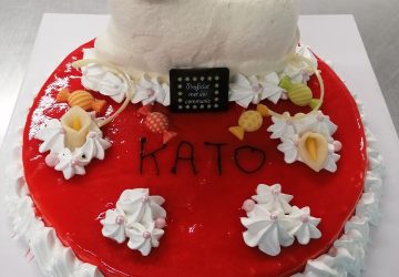 taart communiefeest