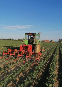 tractor